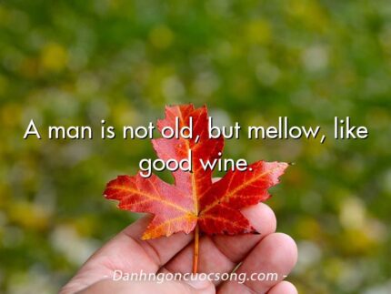 A man is not old, but mellow, like good wine.