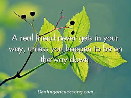A real friend never gets in your way, unless you happen to be on the way down.