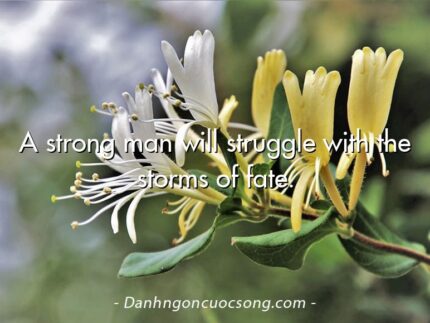A strong man will struggle with the storms of fate.