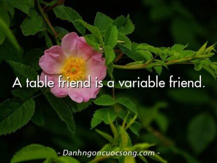 A table friend is a variable friend.