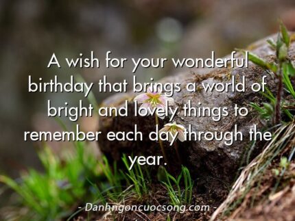 A wish for your wonderful birthday that brings a world of bright and lovely things to remember each day through the year.
