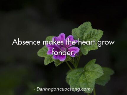 Absence makes the heart grow fonder.
