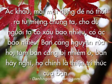 Ác khẩu, mãi mãi đừng để nó thốt ra từ miệng chúng ta, cho dù người ta có xấu bao nhiêu, có ác bao nhiêu. Bạn càng nguyền rủa họ, tâm bạn càng bị nhiễm ô, bạn hãy nghĩ, họ chính là thiện tri thức của bạn.