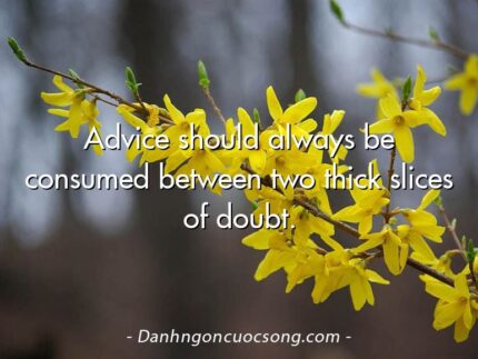 Advice should always be consumed between two thick slices of doubt.