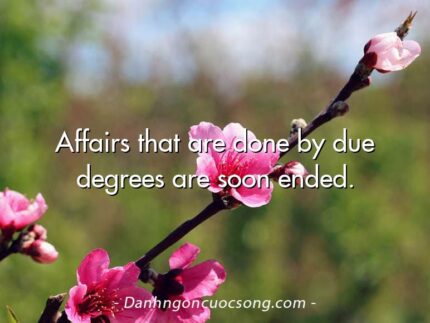 Affairs that are done by due degrees are soon ended.