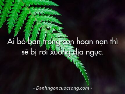 Ai bỏ bạn trong cơn hoạn nạn thì sẽ bị rơi xuống địa ngục.
