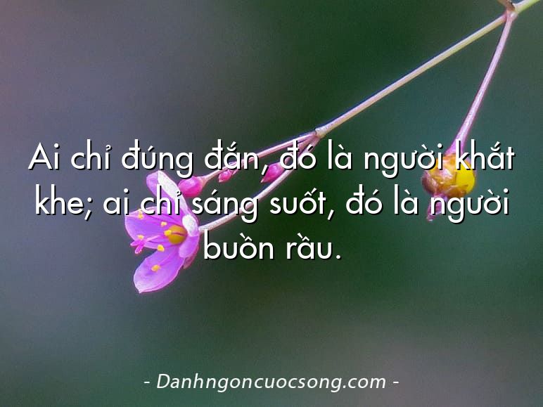 Ai chỉ đúng đắn, đó là người khắt khe; ai chỉ sáng suốt, đó là người buồn rầu.