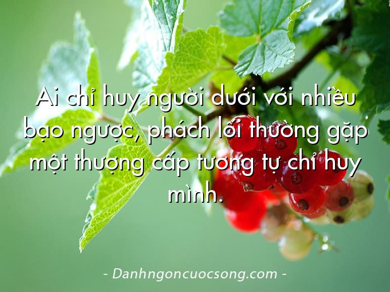 Ai chỉ huy người dưới với nhiều bạo ngược, phách lối thường gặp một thượng cấp tương tự chỉ huy mình.