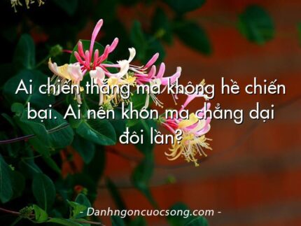 Ai chiến thắng mà không hề chiến bại. Ai nên khôn mà chẳng dại đôi lần?
