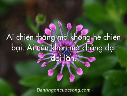 Ai chiến thắng mà không hề chiến bại. Ai nên khôn mà chẳng dại đôi lần.