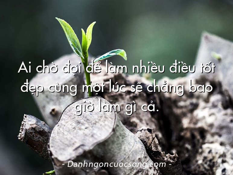 Ai chờ đợi để làm nhiều điều tốt đẹp cùng một lúc sẽ chẳng bao giờ làm gì cả.