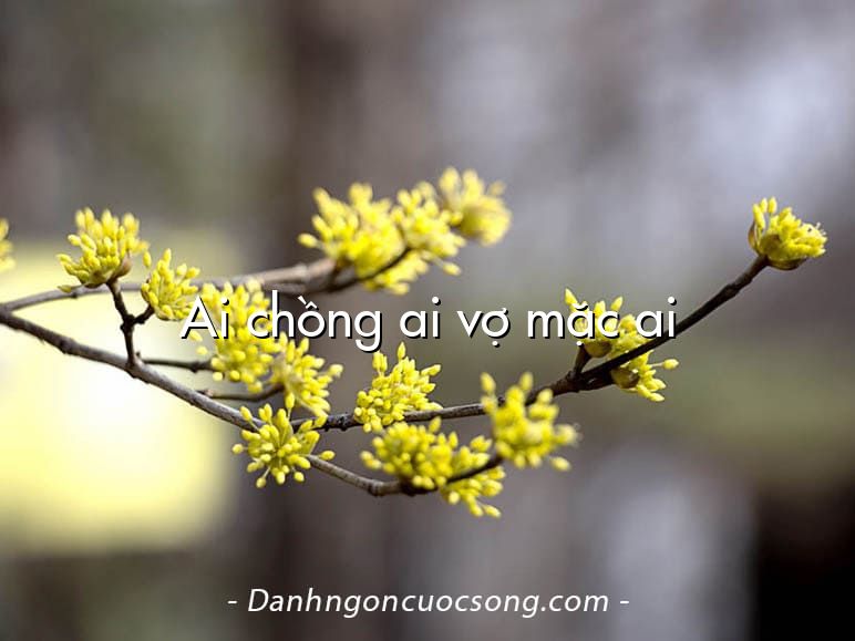 Ai chồng ai vợ mặc ai