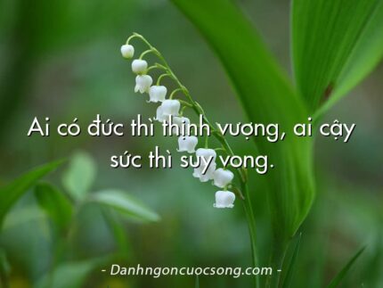 Ai có đức thì thịnh vượng, ai cậy sức thì suy vong.