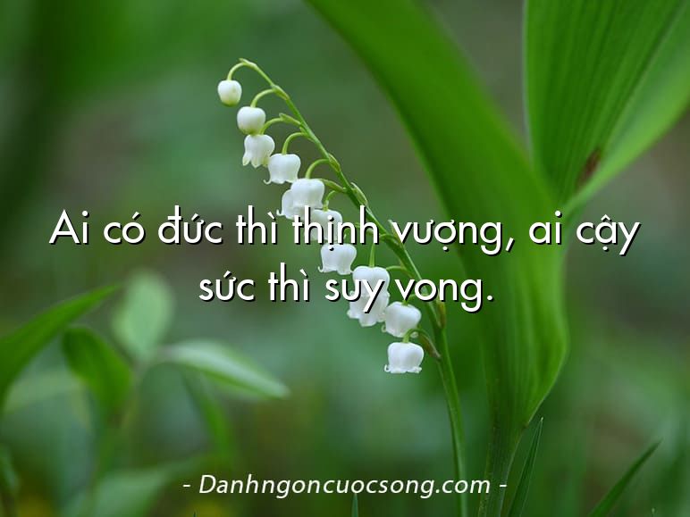 Ai có đức thì thịnh vượng, ai cậy sức thì suy vong.