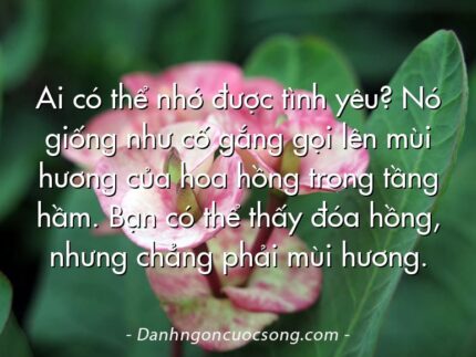 Ai có thể nhớ được tình yêu? Nó giống như cố gắng gọi lên mùi hương của hoa hồng trong tầng hầm. Bạn có thể thấy đóa hồng, nhưng chẳng phải mùi hương.