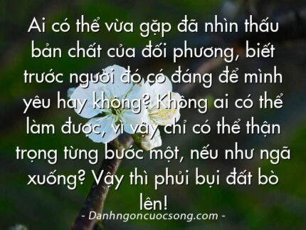 Ai có thể vừa gặp đã nhìn thấu bản chất của đối phương, biết trước người đó có đáng để mình yêu hay không? Không ai có thể làm được, vì vậy chỉ có thể thận trọng từng bước một, nếu như ngã xuống? Vậy thì phủi bụi đất bò lên!