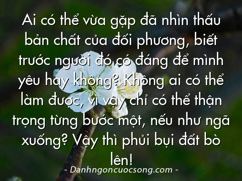 Ai có thể vừa gặp đã nhìn thấu bản chất của đối phương, biết trước người đó có đáng để mình yêu hay không? Không ai có thể làm được, vì vậy chỉ có thể thận trọng từng bước một, nếu như ngã xuống? Vậy thì phủi bụi đất bò lên!