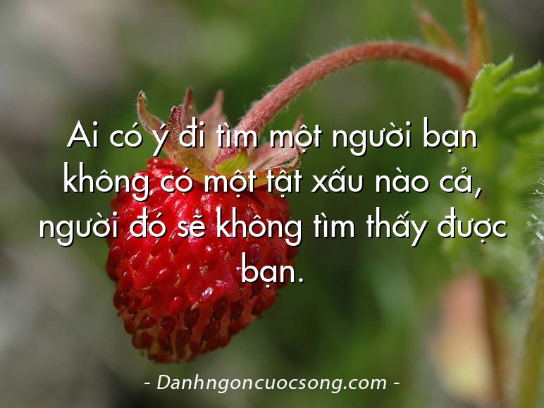 Ai có ý đi tìm một người bạn không có một tật xấu nào cả, người đó sẽ không tìm thấy được bạn.