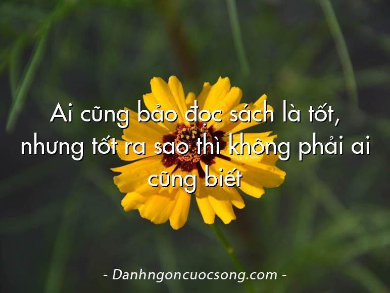 Ai cũng bảo đọc sách là tốt, nhưng tốt ra sao thì không phải ai cũng biết