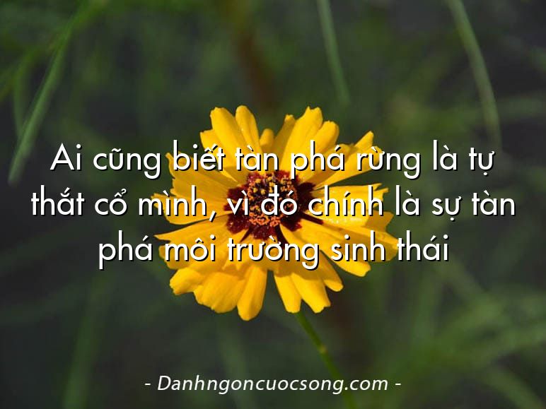 Ai cũng biết tàn phá rừng là tự thắt cổ mình, vì đó chính là sự tàn phá môi trường sinh thái