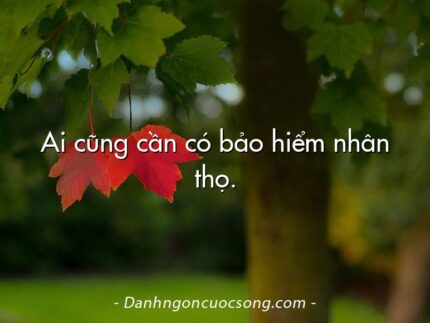 Ai cũng cần có bảo hiểm nhân thọ.