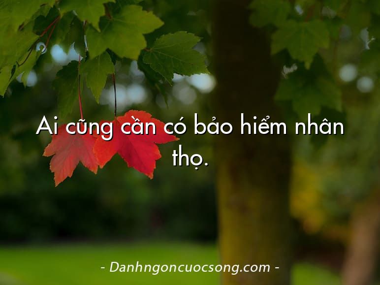 Ai cũng cần có bảo hiểm nhân thọ.