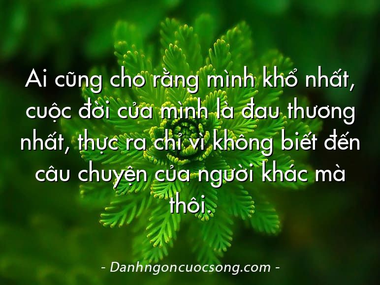 Ai cũng cho rằng mình khổ nhất, cuộc đời của mình là đau thương nhất, thực ra chỉ vì không biết đến câu chuyện của người khác mà thôi.