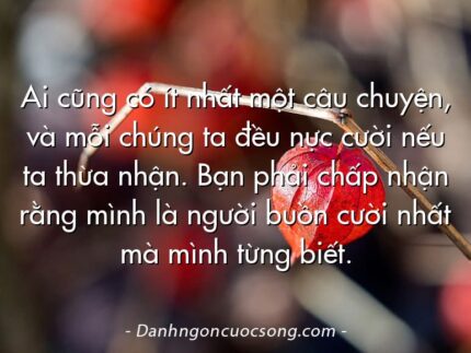 Ai cũng có ít nhất một câu chuyện, và mỗi chúng ta đều nực cười nếu ta thừa nhận. Bạn phải chấp nhận rằng mình là người buồn cười nhất mà mình từng biết.