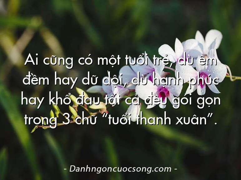 Ai cũng có một tuổi trẻ, dù êm đềm hay dữ dội, dù hạnh phúc hay khổ đau tất cả đều gói gọn trong 3 chữ “tuổi thanh xuân”.
