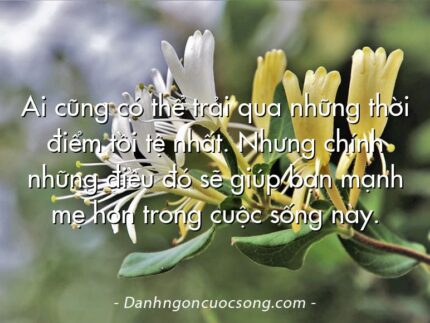 Ai cũng có thể trải qua những thời điểm tồi tệ nhất. Nhưng chính những điều đó sẽ giúp bạn mạnh mẹ hơn trong cuộc sống này.