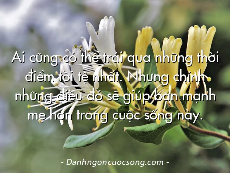 Ai cũng có thể trải qua những thời điểm tồi tệ nhất. Nhưng chính những điều đó sẽ giúp bạn mạnh mẹ hơn trong cuộc sống này.