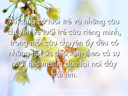 Ai cũng có tuổi trẻ và những câu chuyện về tuổi trẻ của riêng mình, trong mỗi câu chuyện ấy đều có những hồi ức đẹp kèm theo cả sự nuối tiếc mãi in dấu lại nơi đáy trái tim.