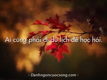 Ai cũng phải đi du lịch để học hỏi.