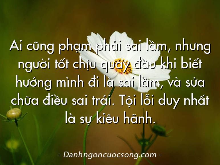 Ai cũng phạm phải sai lầm, nhưng người tốt chịu quay đầu khi biết hướng mình đi là sai lầm, và sửa chữa điều sai trái. Tội lỗi duy nhất là sự kiêu hãnh.