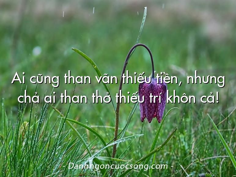 Ai cũng than vãn thiếu tiền, nhưng chả ai than thở thiếu trí khôn cả!