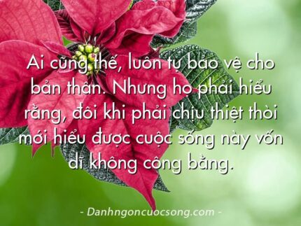 Ai cũng thế, luôn tự bảo vệ cho bản thân. Nhưng họ phải hiểu rằng, đôi khi phải chịu thiệt thòi mới hiểu được cuộc sống này vốn dĩ không công bằng.