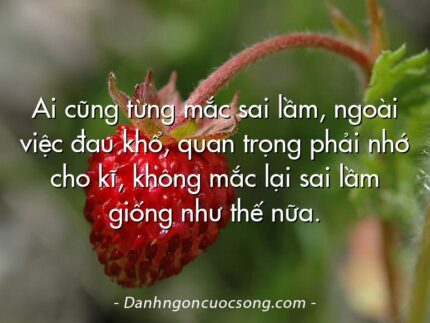 Ai cũng từng mắc sai lầm, ngoài việc đau khổ, quan trọng phải nhớ cho kĩ, không mắc lại sai lầm giống như thế nữa.