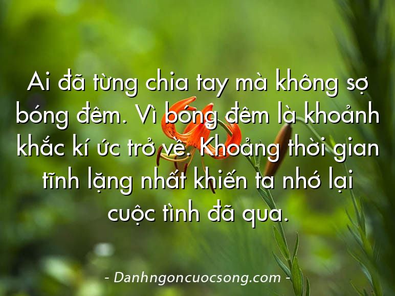 Ai đã từng chia tay mà không sợ bóng đêm. Vì bóng đêm là khoảnh khắc kí ức trở về. Khoảng thời gian tĩnh lặng nhất khiến ta nhớ lại cuộc tình đã qua.