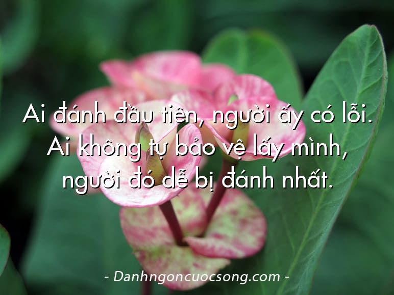 Ai đánh đầu tiên, người ấy có lỗi. Ai không tự bảo vệ lấy mình, người đó dễ bị đánh nhất.