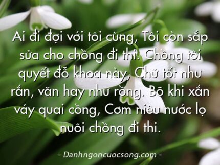 Ai đi đợi với tôi cùng, Tôi còn sắp sửa cho chồng đi thi. Chồng tôi quyết đỗ khoa này, Chữ tốt như rắn, văn hay như rồng. Bõ khi xắn váy quai cồng, Cơm niêu nước lọ nuôi chồng đi thi.