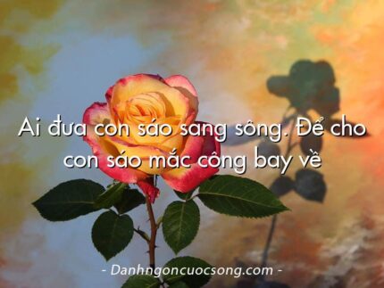 Ai đưa con sáo sang sông. Để cho con sáo mắc công bay về