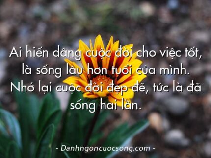Ai hiến dâng cuộc đời cho việc tốt, là sống lâu hơn tuổi của mình. Nhớ lại cuộc đời đẹp đẽ, tức là đã sống hai lần.  