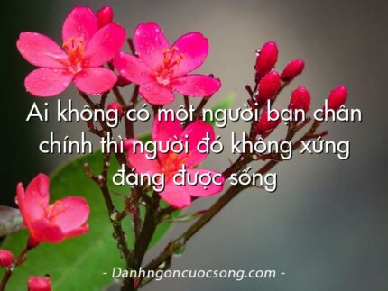 Ai không có một người bạn chân chính thì người đó không xứng đáng được sống