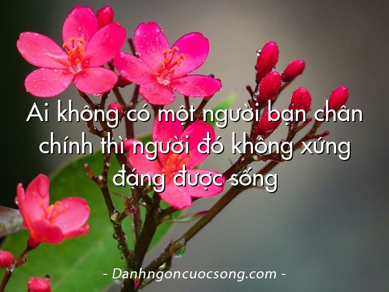 Ai không có một người bạn chân chính thì người đó không xứng đáng được sống