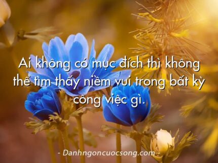 Ai không có mục đích thì không thể tìm thấy niềm vui trong bất kỳ công việc gì.