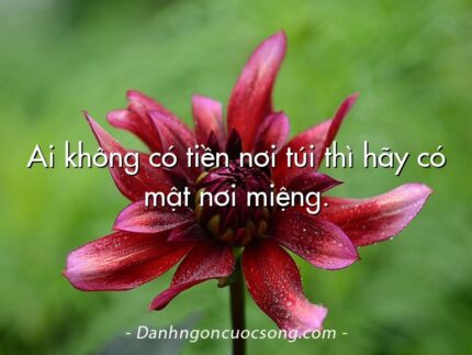 Ai không có tiền nơi túi thì hãy có mật nơi miệng.
