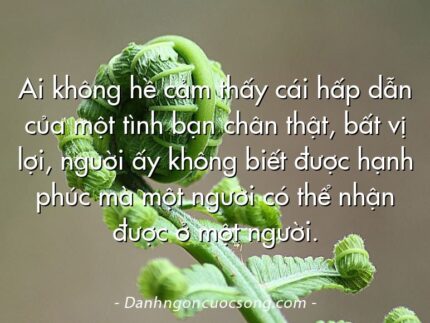 Ai không hề cảm thấy cái hấp dẫn của một tình bạn chân thật, bất vị lợi, nguời ấy không biết được hạnh phúc mà một người có thể nhận được ở một người.
