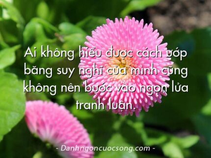 Ai không hiểu được cách ướp băng suy nghĩ của mình cũng không nên bước vào ngọn lửa tranh luận.