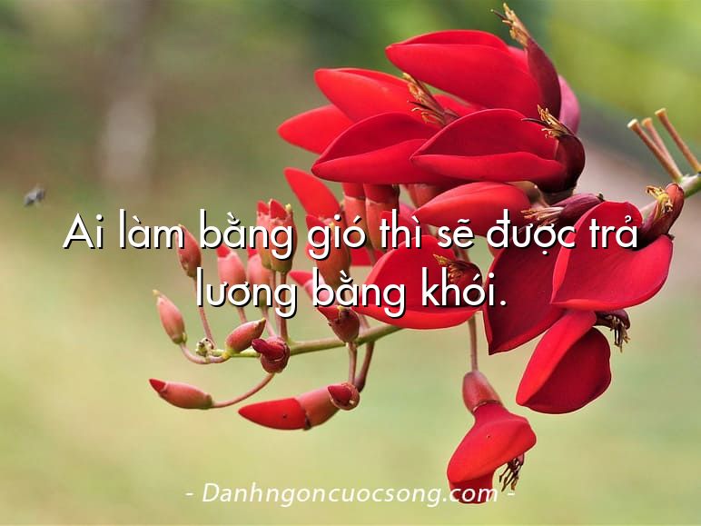 Ai làm bằng gió thì sẽ được trả lương bằng khói.