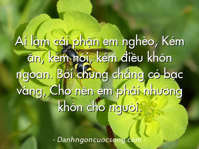 Ai làm cái phận em nghèo, Kém ăn, kém nói, kém điều khôn ngoan. Bởi chưng chẳng có bạc vàng, Cho nên em phải nhường khôn cho người.